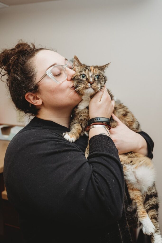 Team member comforting and holding a cat at Memorial Veterinary Hospital in Dickson City PA