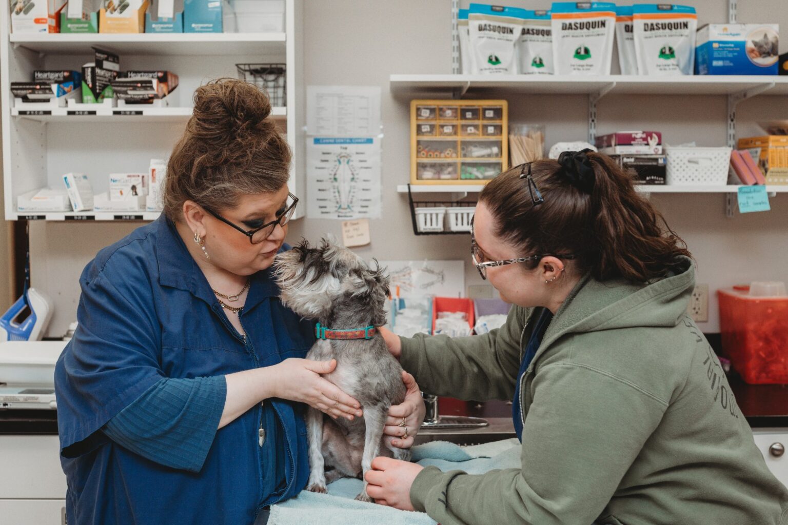Veterinary staff examining a small dog at Memorial Veterinary Hospital in Dickson City Pennsylvania
